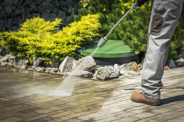 Best Driveway Pressure Washing  in Fridley, MN