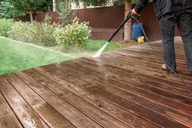 Best Gutter Cleaning  in Fridley, MN